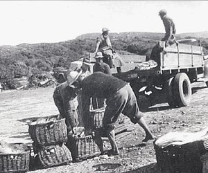 Skipbreuke langs die Strandveldse Kus